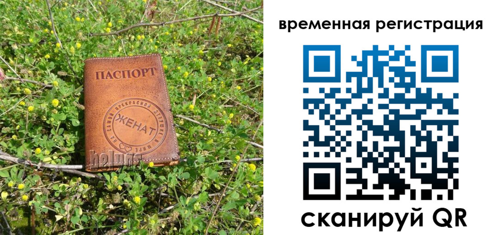 прописка регистрация в Марксе